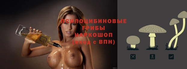 прущие крисы Балабаново