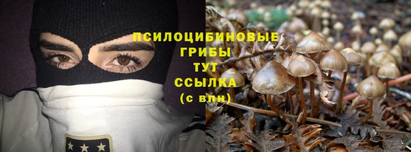 прущие крисы Балабаново