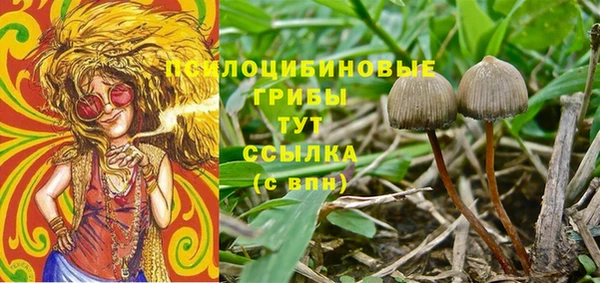 MESCALINE Баксан