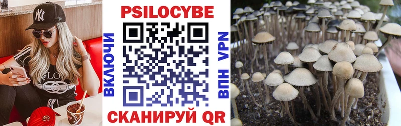 МЕГА зеркало  Вичуга  Галлюциногенные грибы Psilocybine cubensis  купить  
